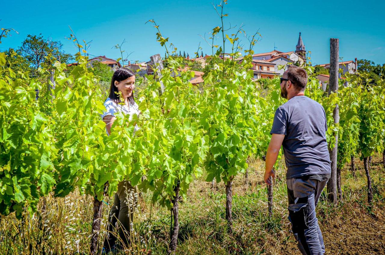Wine & Apartment Vinales Koper Eksteriør bilde